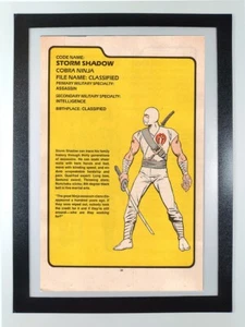Tarjeta de archivo Storm Shadow G.I.Joe Order of Battle - Página de cómic original enmarcada - Imagen 1 de 7