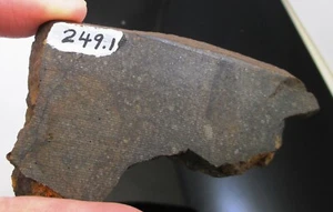 Brownfield 1937 meteorite slice - 46.3 gram - H 3.7 -  Ex. Walton - Texas - Picture 1 of 6