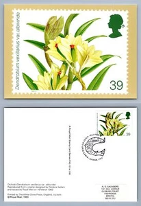 Dendrobium Vexillarius / Orchids - 1993 PHQ #151e H/S Used Card - Picture 1 of 1