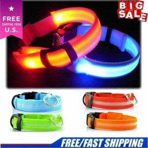 RECHARGEABLE LED PET GLOW COLLAR night safety adjustable flash light-up FOR dog - Picture 1 of 21