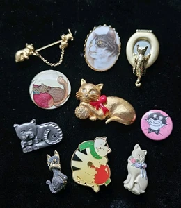Lote de 10 prendedores broches firmados por gato sin firmar camafeo Napier Avon Ajc Corea esmalte - Imagen 1 de 15