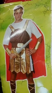 Trojen Kostüm - Bild 1 von 6
