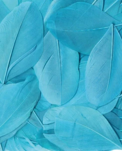 PLUMAS TURQUESA - 6 CM - Imagen 1 de 1