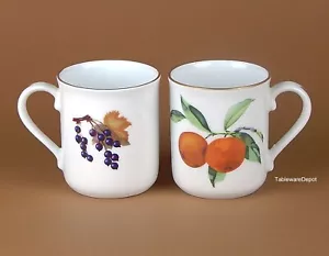 Royal Worcester EVESHAM GOLD: set/i di 2, 8 once Tazze, come nuove e quasi perfette - Foto 1 di 3