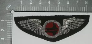 US AMERICAN ALASKA COASTAL ELLIS AIRLINES CIVIL PILOT WING BULLION WIRE TYPE 2 - Picture 1 of 1