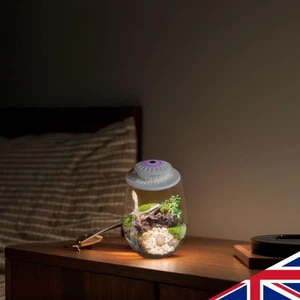 Micro Landscape Plant Growth Lamp with Timer Plant Grow Light 6500K - Picture 1 of 16