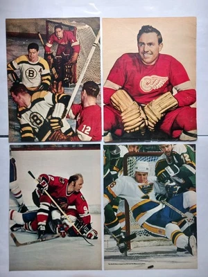 VINTAGE HOCKEY PHOTOS LOT OF 9 MAGAZINE PHOTOS  BOBBY HULL BRETT HULL YZERM   ++ - Image 1 of 4