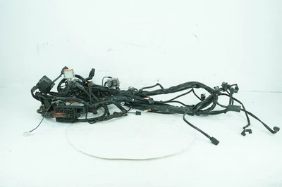Harley Touring FLTRI 2005 Road Glide OEM cableado principal arnés telar 70985-05 Foto 1 de 4