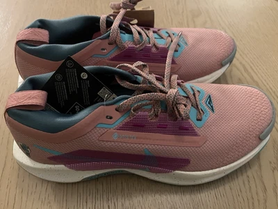 Tênis Nike Pegasus Trail 5 GTX feminino tamanho 10 vermelho Stardust FQ0908 600 novo! - Imagem 1 de 4