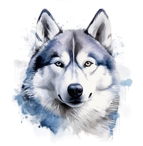 XXL 18X18 cm Autoaufkleber Siberian Husky Hund Auto Aufkleber Sticker - Picture 1 of 1