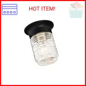 Design House 587220 Jelly Jar 1-Light Indoor/Outdoor Flush Mount Ceiling Light,  - Picture 1 of 2