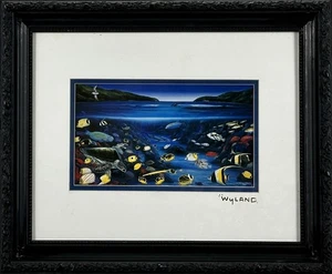 Robert Wyland Hanauma Bay Hawaii Print Ocean Marine Life Framed 1993 14x17 - Picture 1 of 11