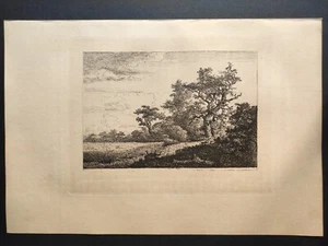 The Corn-Field, Histoire Gravure, van Ruisdael, Amand-Durand, Stampa 1880 - Picture 1 of 5