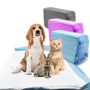 200 Pet Training Pads Ultra-Absorbent Pet Pads Housebreaking Underpads for Dogs - Picture 1 of 74