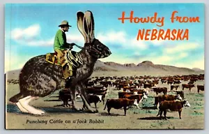 Postal Exageration Jack Rabbit Nebraska - Imagen 1 de 2