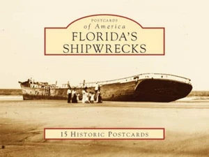 NEW Arcadia Publishing Florida's Shipwrecks, FL 9780738567396 Postcards of Ameri - Imagen 1 de 1