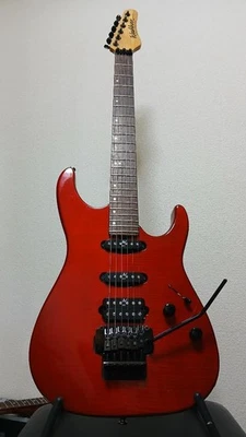 ¡Embalaje seguro WASHBURN MG700! - Imagen 1 de 4