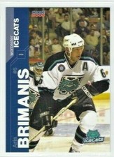 2004-05 Worcester IceCats (AHL) Aris Brimanis