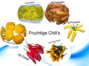 Fruchtiges Chili Sortiment 6 Sorten von Mild bis Scharf - Seltene Fruchtchils - Bild 1 von 1
