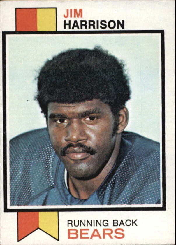 A8695- 1973 Topps FB #s 401-528 APPROXIMATE GRADE -You Pick- 15+ FREE US SHIP - Image 1 of 1