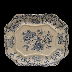 Antico piatto floreale 1800 Thomas Dimmock Co gres bordo corallo blu bianco - Foto 1 di 16