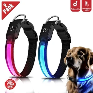 LED Light Up Dog Collar USB Rechargeable Waterproof Glowing Pet Safety Collar - Picture 1 of 5