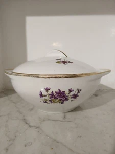 Zuppiera Società Ceramica Laveno Kv Vintage Vecchia Legumiera - Foto 1 di 5