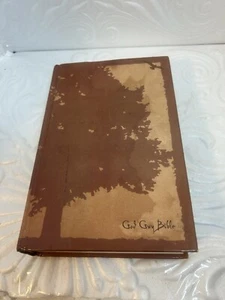 God Guy Bibel von Michael DiMarco (2012, Hardcover) - Bild 1 von 12