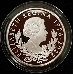 2022 1oz Silver Proof Memorial Queen Elizabeth II Royal Mint Box & CoA CGT- Free - Picture 1 of 7