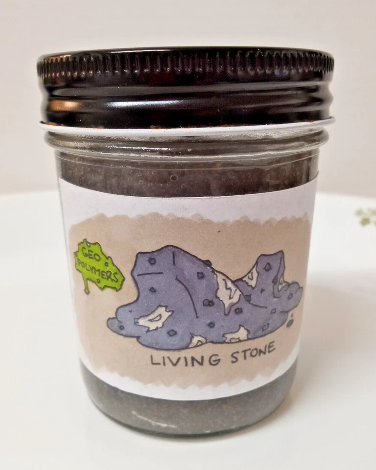 Living Stone Slime retrógrado lote pequeño limo artesanal Foto 1 de 4