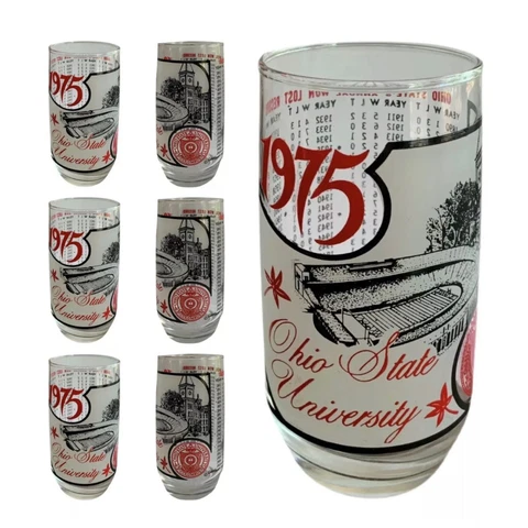 Ohio State University GlasSport Bar Glasses Cups Collector Set Vintage 70s Retro Cover