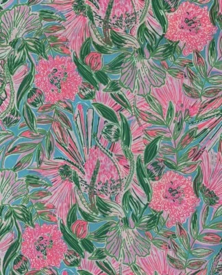 Tela de popelina de algodón Lilly Pulitzer Blue Horizon entra en lo último 36" X 57" Foto 1 de 4
