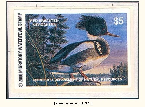 HALFPRICEDUCK Minnesota Duck Stamp 2000 $5.00 s/adh w/backg - Image 1 of 1