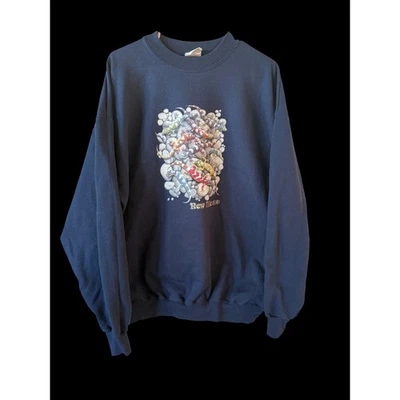 复古海军 90 年代单针 3D 图形蜥蜴印花新墨西哥套衫 XL A7 — 第 1/4 张图片