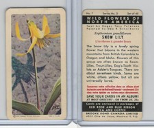 FC34-4 Brook Bond, Wild Flowers of NA, 1961, #7 Snow-Lily