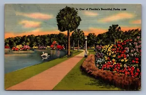 Postcard Vintage Beautiful Park In Florida Nature Wildlife Flowers Trees - Picture 1 of 2