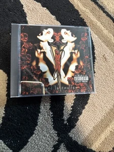Vanilla Ice- Hard to Swallow (CD) Rap Metal/Nu Metal V-Ice - Picture 1 of 5
