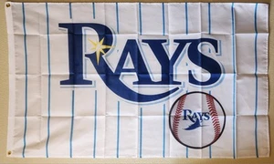 Tampa Bay Devil Rays Pinstripe MLB Baseball Flag 3x5 Ft W/ Grommets - Picture 1 of 3
