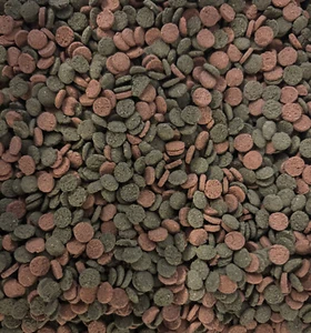 MiniWafers Mix 6 % Spirulina Astaxanthin/ L-Welse / Bodenfutter / Welschips 500g - Bild 1 von 2
