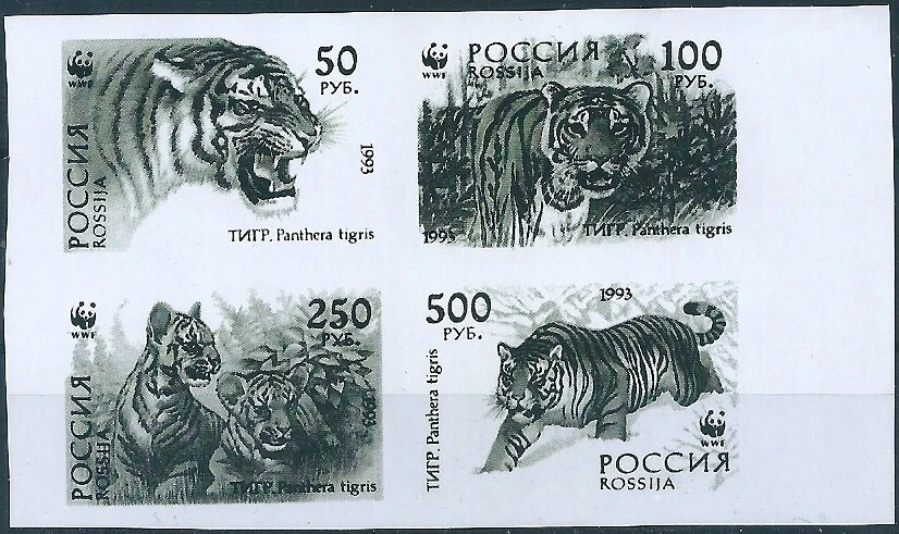 14734 Russia Rossija Fauna Animal Cat-of-Prey Tiger (Quartblock) Colour Proof - Image 1 of 1