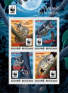 WWF Senegal GALAGOS Monos SOBREIMPRESIÓN LÁMINA ROJA 4v-Hoja de sello 2020 Guinea-Bissau - Imagen 1 de 1