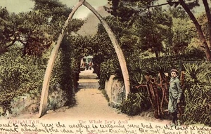 The Whale Jaw's Arch - Gibraltar 1906 UDB Postcard - Picture 1 of 2