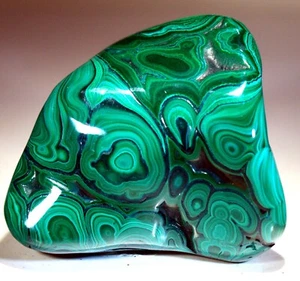 3.4" 11.1 oz Top Quality Polished Bull's Eye Malachite, Congo! M655 - Picture 1 of 4