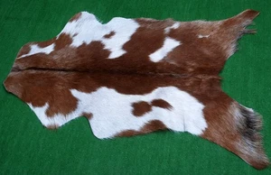 Luxury Goat hide Rug Hair on Area Rug Size 34"x22" Animal Leather Goat Skin G151 - Picture 1 of 3