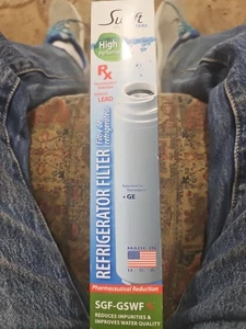 Free Shipping 1 New Swift Green SGF-GSWF Rx Pharmaceutical Water Filter GE GSWF - Picture 1 of 7