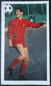 Sicker Sammelbild 252 Heinz Wittmann Mönchengladbach Bundesliga Asse 1966/67 - Picture 1 of 2