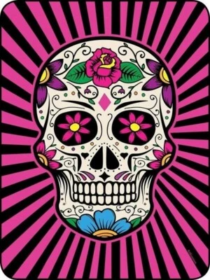 New 45x60 Sugar Skull Soft Plush Fleece Throw Gift Blanket Pink & Black Goth NIP - Image 1 of 2
