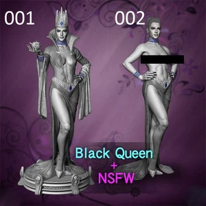 Black Queen 1/10 1/6 1/4 3D Print Model Kit Unpainted Unassembled 2 Ver NSFW - Picture 1 of 9