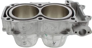 Cylinder Works Standard Bore cylinder CW60007 For Polaris ACE 900 EPS XC 833809 - Picture 1 of 3