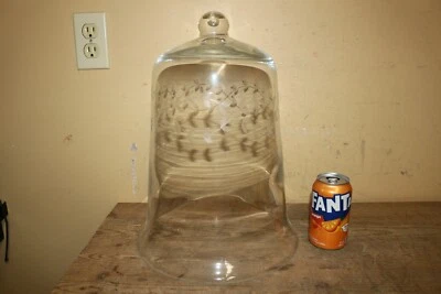 Tarro campana de vidrio grande victoriano antiguo de 15" con pantalla de perilla Foto 1 de 4